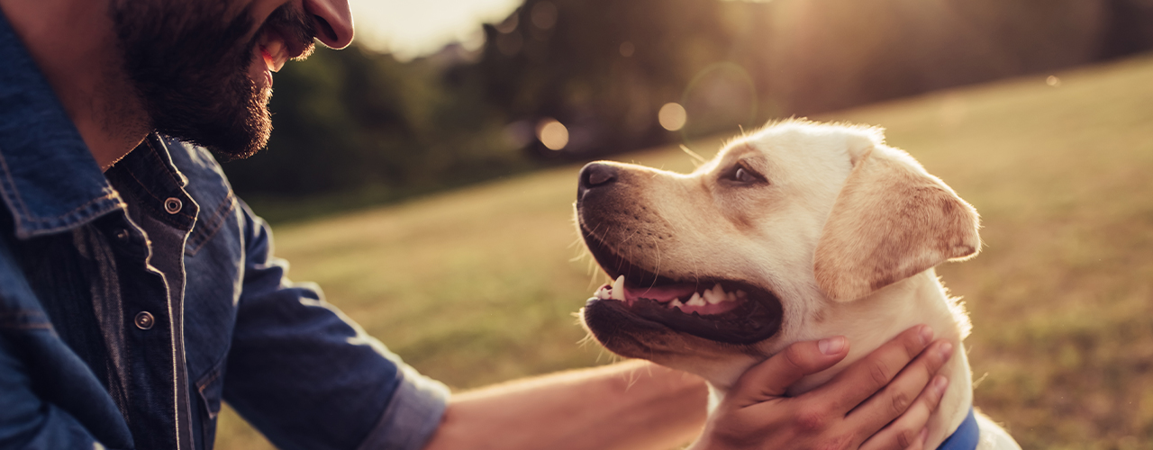 Akc Success Story Blog