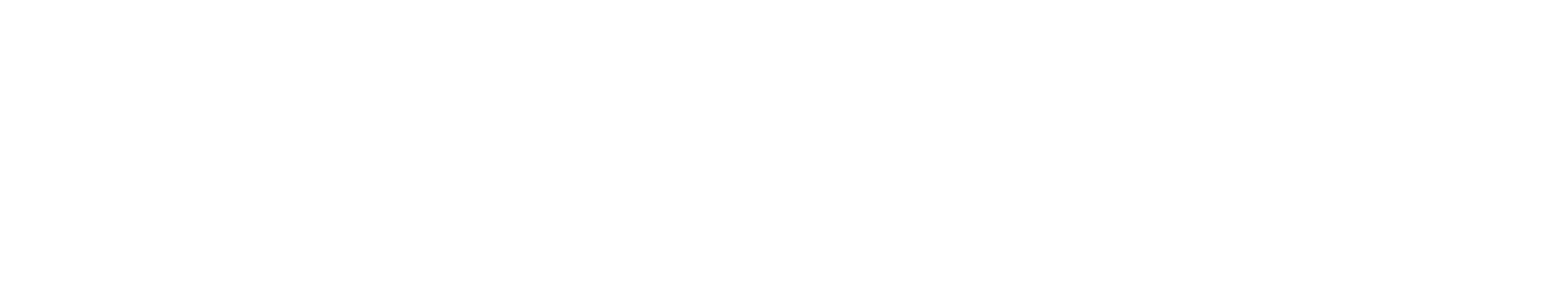 NmwLargeLogo Light