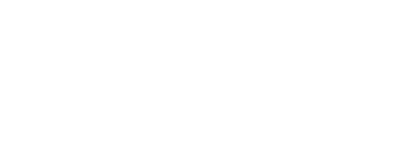NetSuite Logo Text A White