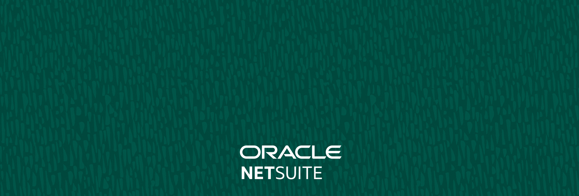 Netsuite Generic 11