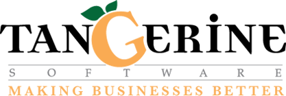 Tangerine Software Awards Net at Work SEI Partner of the Year in North America